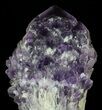 Natural Amethyst Crystal Bouquet - With Stand #62841-4